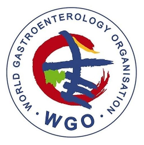 World Gastroenterology Organisation Global Guidelines on Celiac Disease