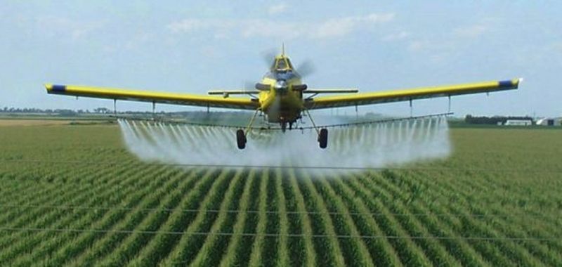 Los pesticidas pueden aumentar el riesgo de autismo