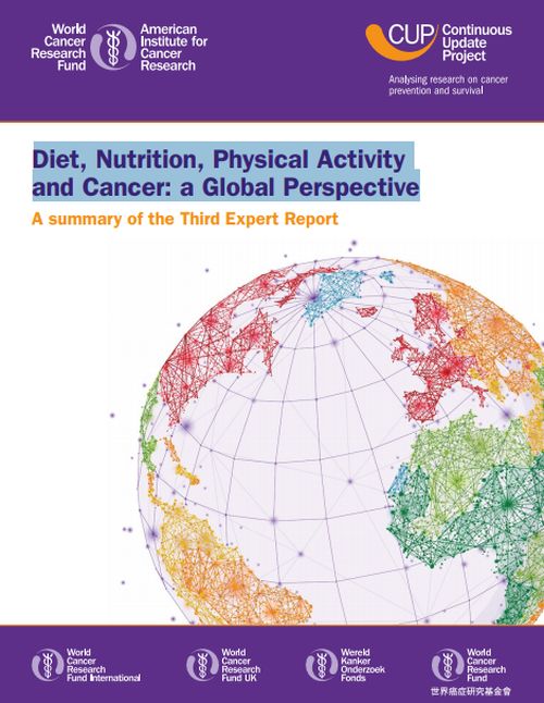 Diet, Nutrition, Physical Activity and Cancer: a Global Perspective