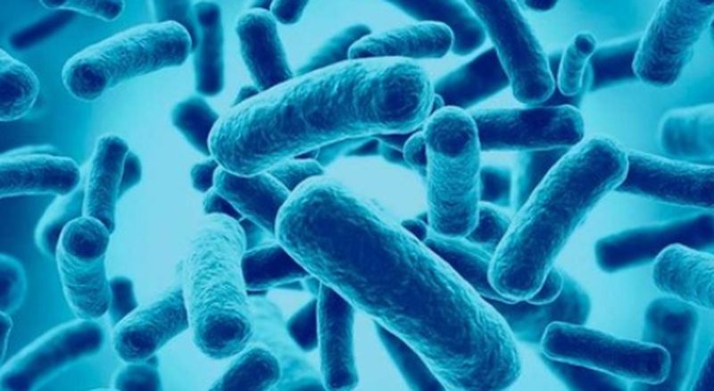 Los probióticos, ¿tienen el mismo efecto que el placebo en la gastroenteritis aguda?