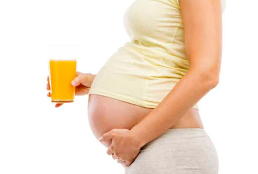 Ingesta materna de fructosa podría modificar metabolismo lipídico de su descendencia