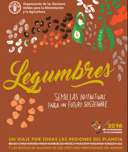 Legumbres: Semillas nutritivas para un futuro sostenible