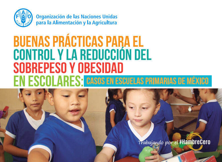 Buenas prácticas para el control y la reducción del sobrepeso y obesidad en escolares: casos en escuelas primarias de México