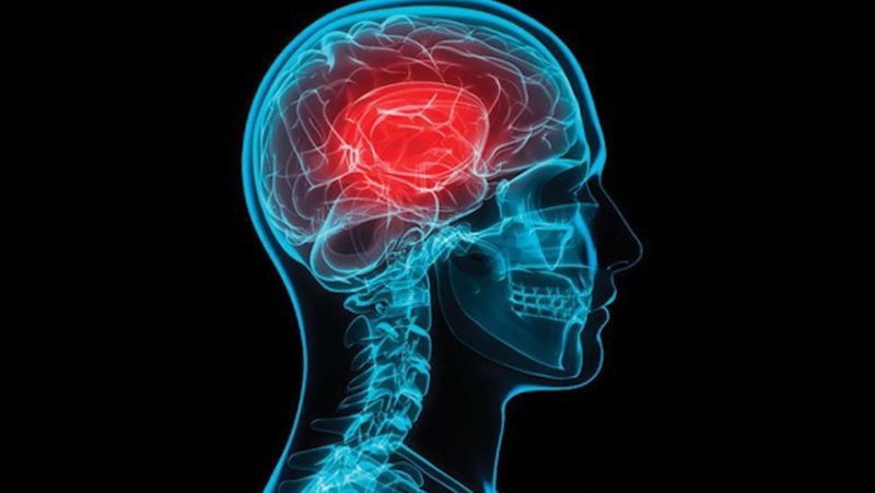 Estudian la función de neuronas implicadas en la memoria, para combatir la obesidad