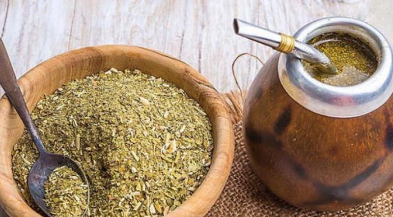 Un estudio demuestra que la yerba mate causa un efecto preventivo en el desarrollo del Parkinson