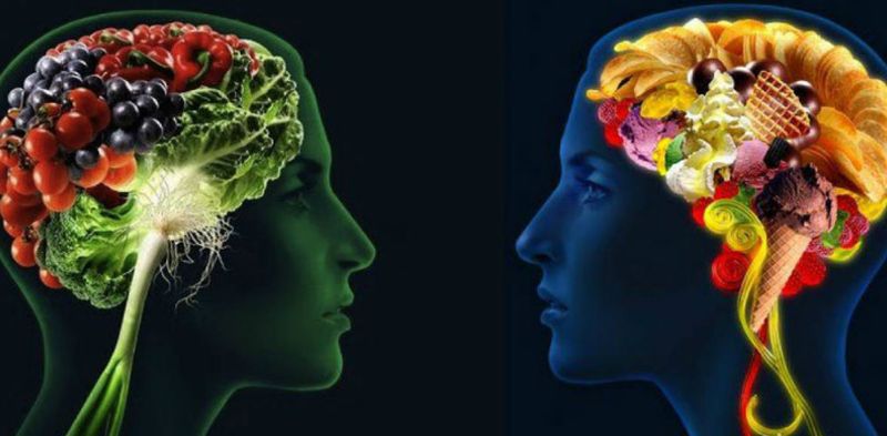 La obesidad, vinculada a diferencias en la forma y estructura del cerebro