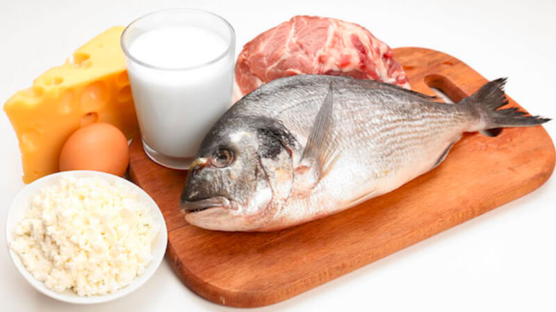 Consumo de carne, pescado, productos lácteos, huevos y riesgo de cardiopatía isquémica: evidencia de la cohorte Epic