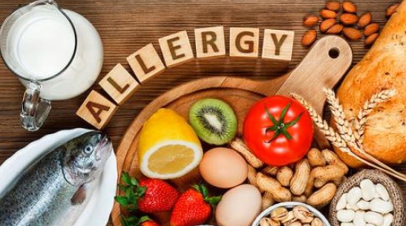 Desarrollan estrategias para evaluar el riesgo de nuevas proteínas alimentarias para producir alergias