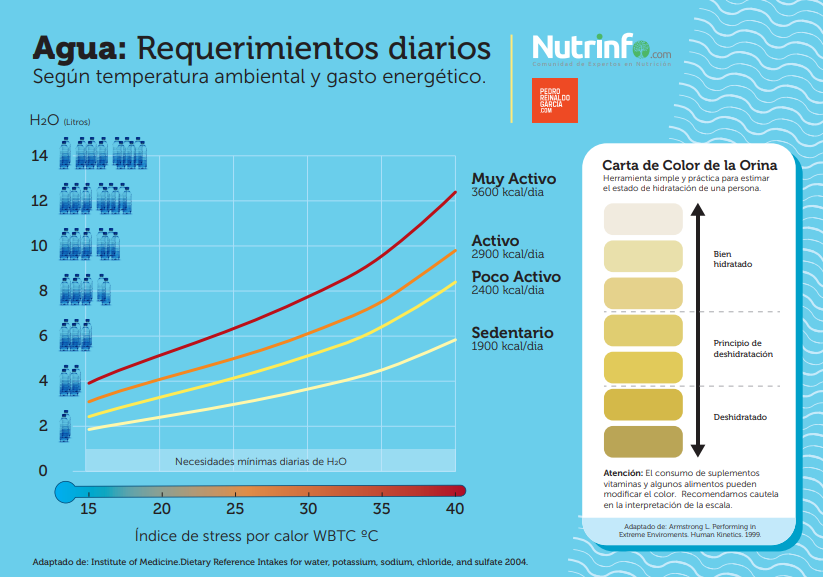 Infografía. Agua: Requerimientos diarios