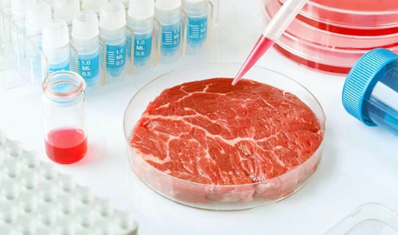 En un laboratorio y sin sufrimiento animal: la Argentina ya produce su propia carne cultivada