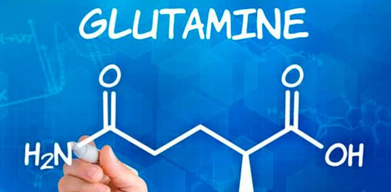 Estudian el uso de la glutamina contra la obesidad