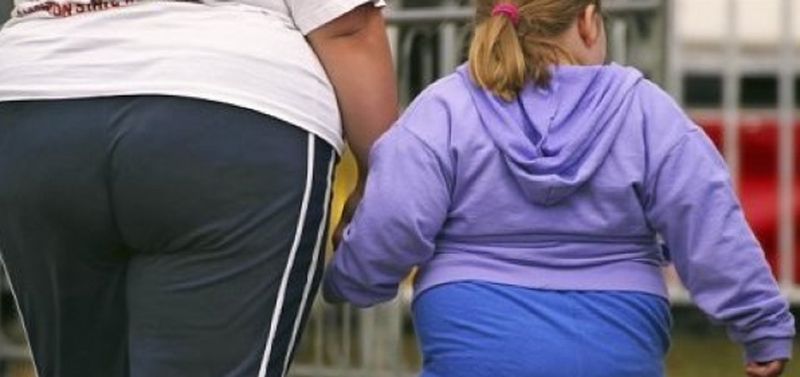 La obesidad, una de las causas del aumento de emisiones de gases de efecto invernadero