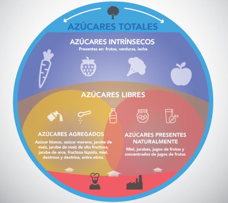 Revelan las principales fuentes de azúcar agregada en la dieta de los argentinos