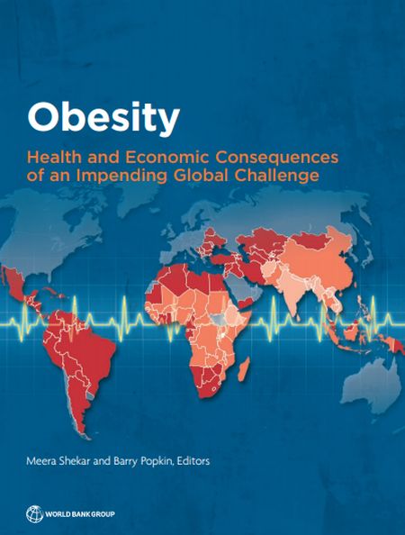 Obesity. Health and Economic Consequences of an Impending Global Challenge