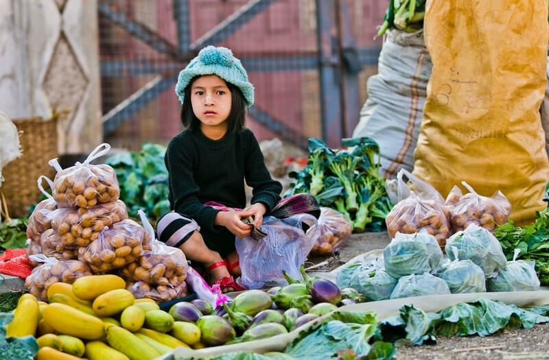 Del hambre al sobrepeso en una misma vida: el nuevo panorama de la nutrición