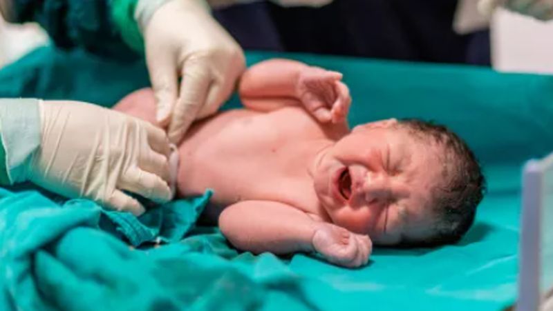 Microbiota perinatal: Revisión de su importancia en la salud del recién nacido