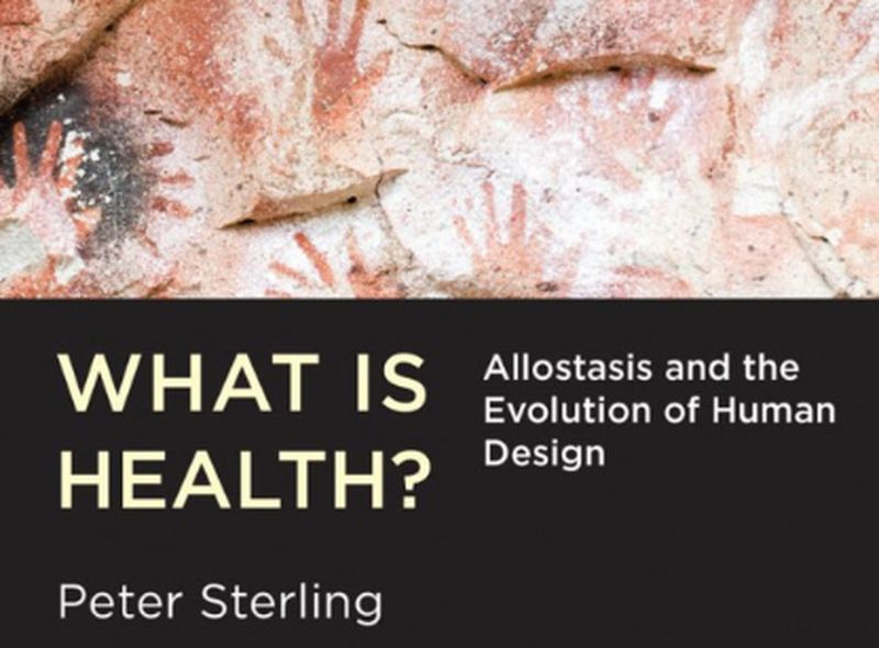 Alostasis y evolución del diseño humano
