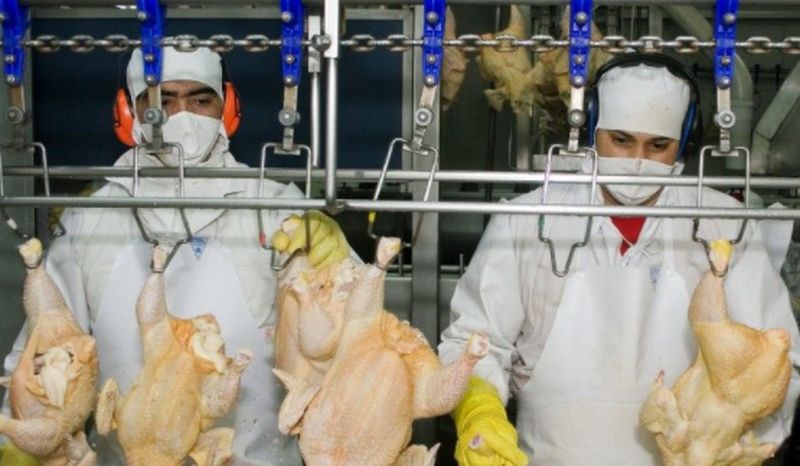China detecta rastros de coronavirus en pollo importado de Brasil y mariscos de Ecuador