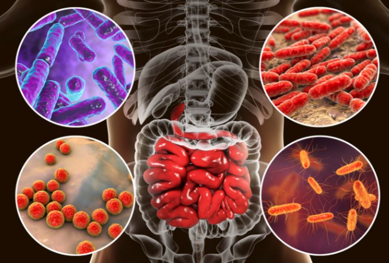 El microbioma previene frente a la predisposición genética a leucemia