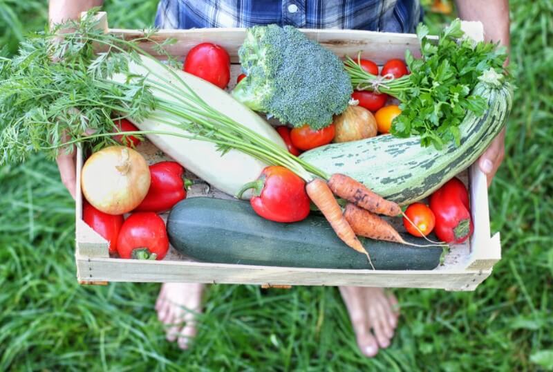 Lanzan un programa educativo para promover una alimentación saludable