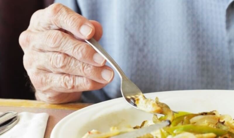 Diversidad de microbiota afectaría el apetito en adultos mayores