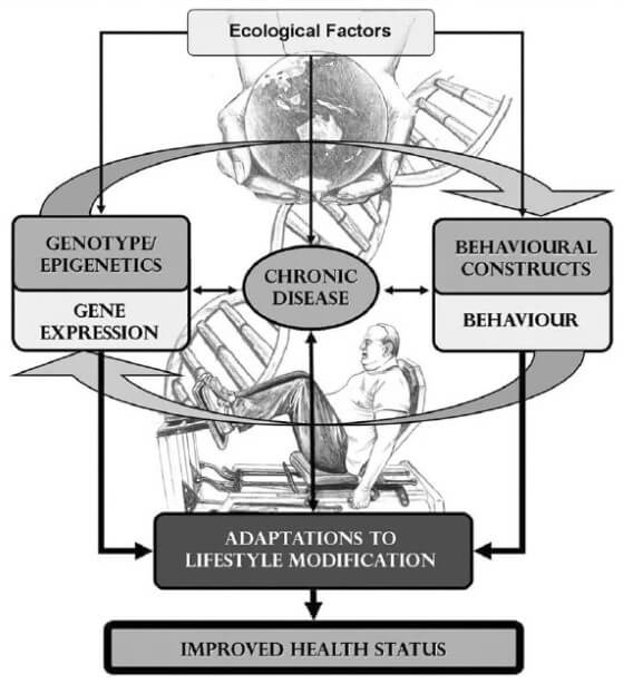 International Exercise Recommendations in Older Adults (ICFSR): Expert Consensus Guidelines 
