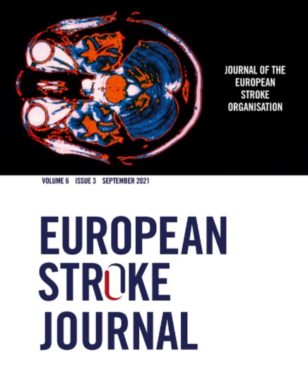 European Stroke Organisation and European Society for Swallowing Disorders guideline for the diagnosis and treatment of post-stroke dysphagia