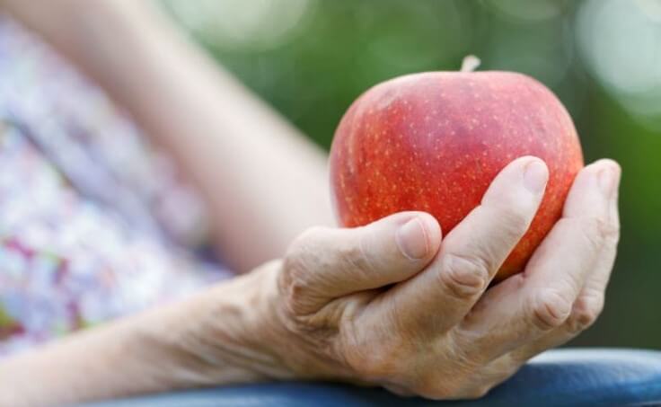 Una dieta rica en productos de origen vegetal podría disminuir el riesgo de deterioro cognitivo en personas mayores