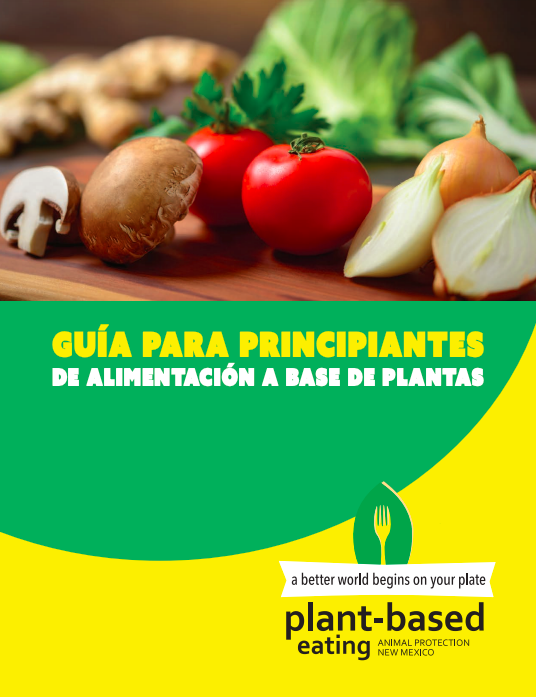 Guía para principiantes de alimentación a base de plantas.