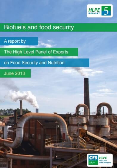 Biofuels and food security
