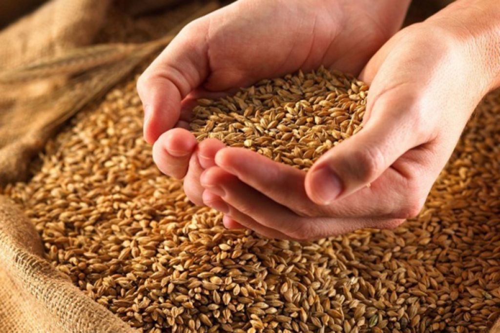 Ingesta extremadamente baja de cereales de grano entero en LATAM 