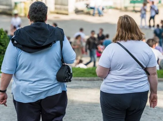 Casi el 60 % de los adultos y el 29 % niños europeos tienen sobrepeso u obesidad