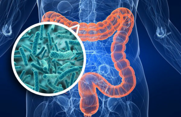 Microbioma intestinal, clave en las futuras pautas nutricionales. 