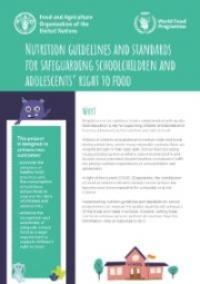 Nutrition guidelines and standards for safeguarding schoolchildren and adolescents’ right to food