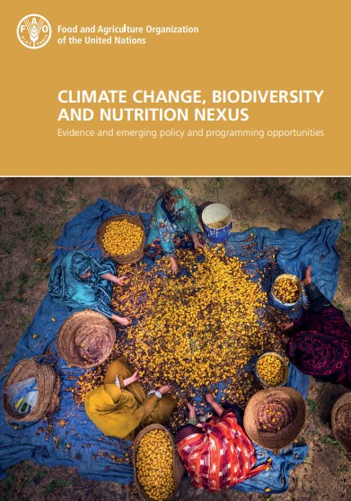 Climate change, biodiversity and nutrition nexus