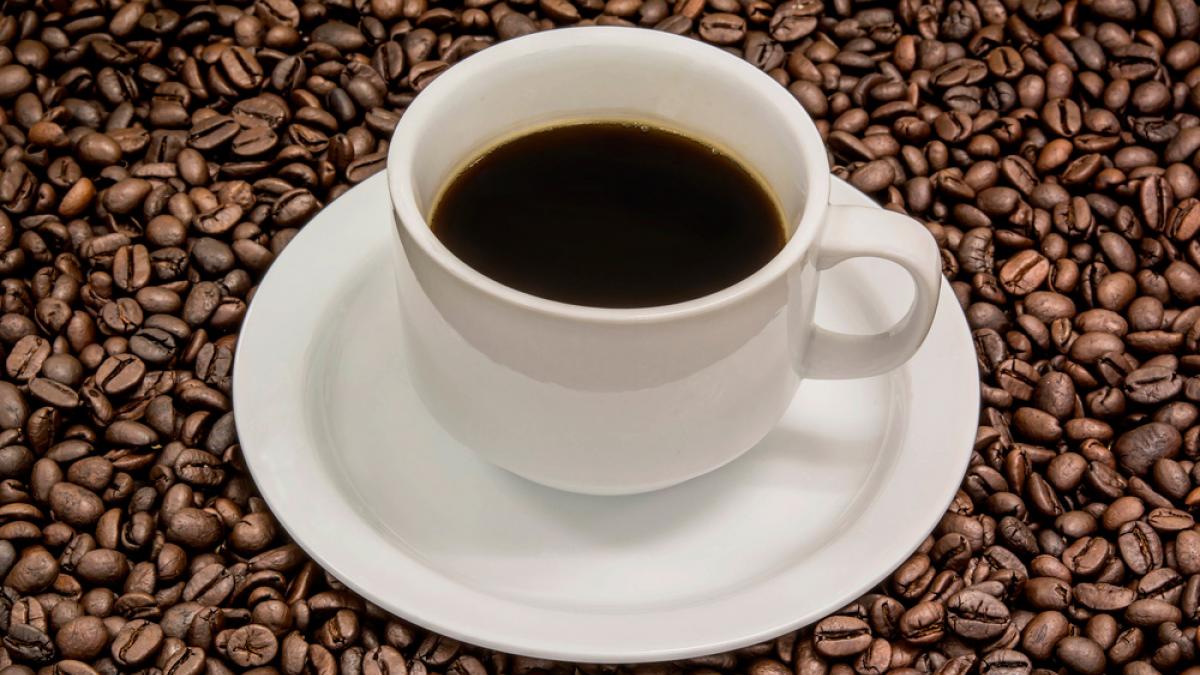 Efectos de la ingesta de cafeína en el rendimiento de la carrera de resistencia y el tiempo hasta el agotamiento.