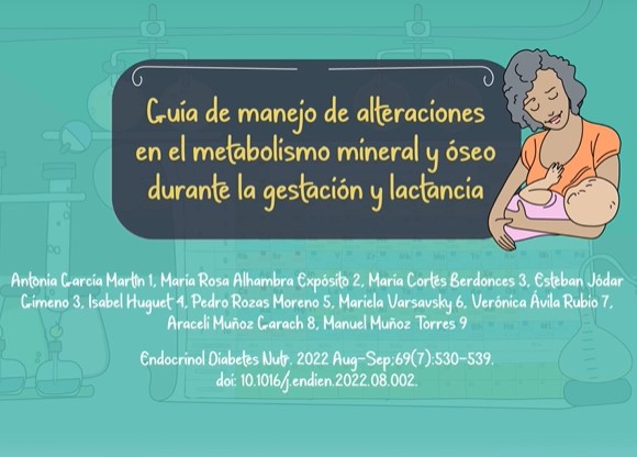 Guía de manejo de alteraciones en el metabolismo mineral y óseo durante la gestación y lactancia