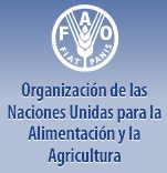 Base de datos de composición química de alimentos internacionales: InFoods- FAO