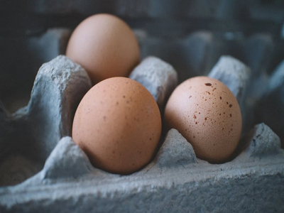 ¿Cuántos huevos por semana alargan la vida en adultos mayores?