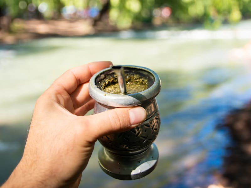 Yerba mate y artritis reumatoidea