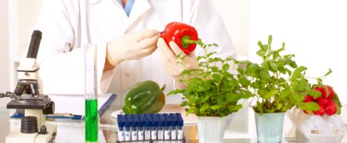 Los novedosos alimentos cultivados en laboratorio que podrían ser parte de nuestra dieta en el futuro