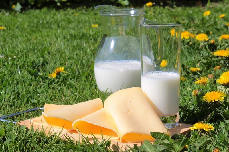 La leche y los productos lácteos, no relacionados con la obesidad infantil